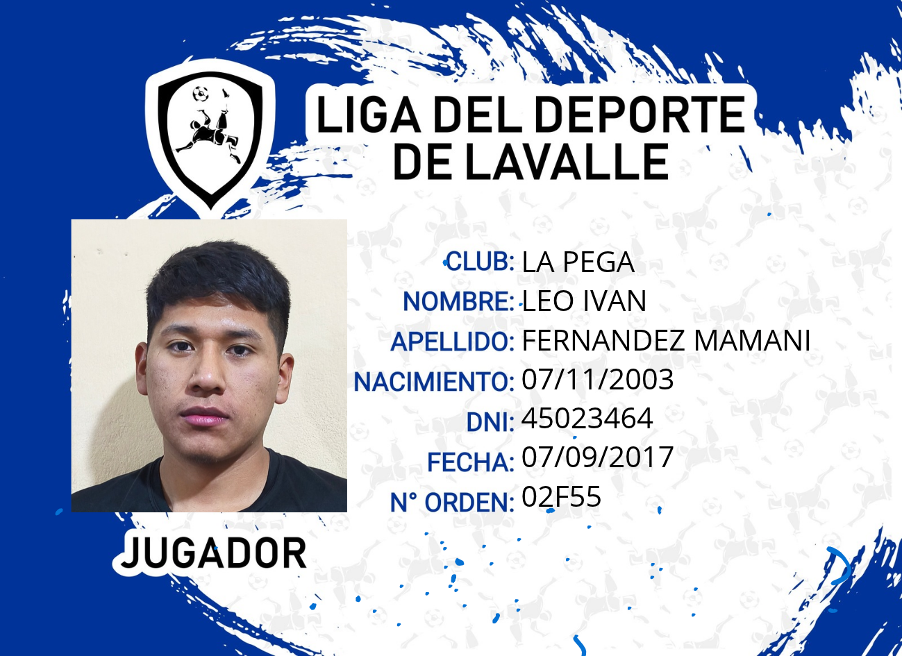 Foto carnet FERNANDEZ MAMANI, LEO IVAN